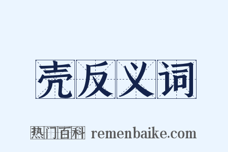 壳反义词是什么意思的图片